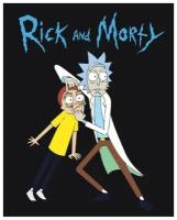 Картина по номерам Живопись по Номерам Rick and Morty 40x50...